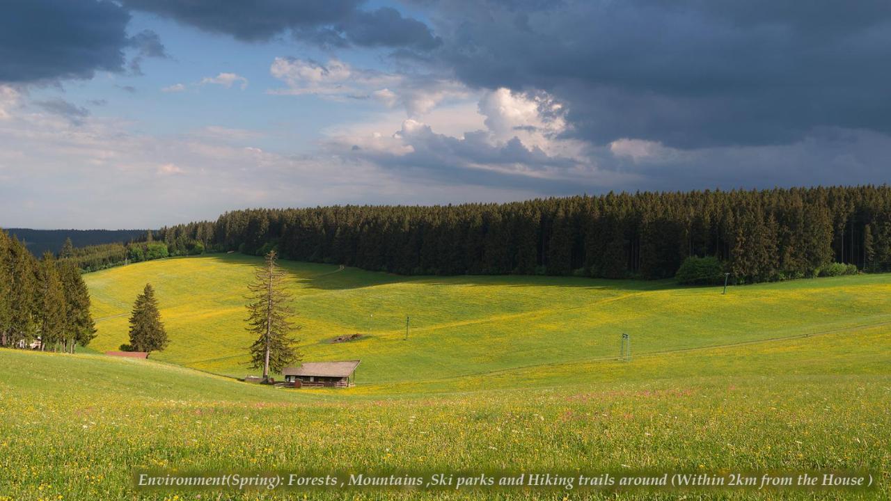 Entire House In Schwarzwald With Mountain View, Private Sauna, Gym, Garden And Terraces Unterkirnach Buitenkant foto
