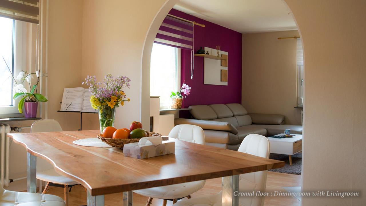 Entire House In Schwarzwald With Mountain View, Private Sauna, Gym, Garden And Terraces Unterkirnach Buitenkant foto