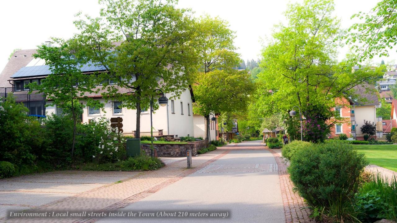 Entire House In Schwarzwald With Mountain View, Private Sauna, Gym, Garden And Terraces Unterkirnach Buitenkant foto