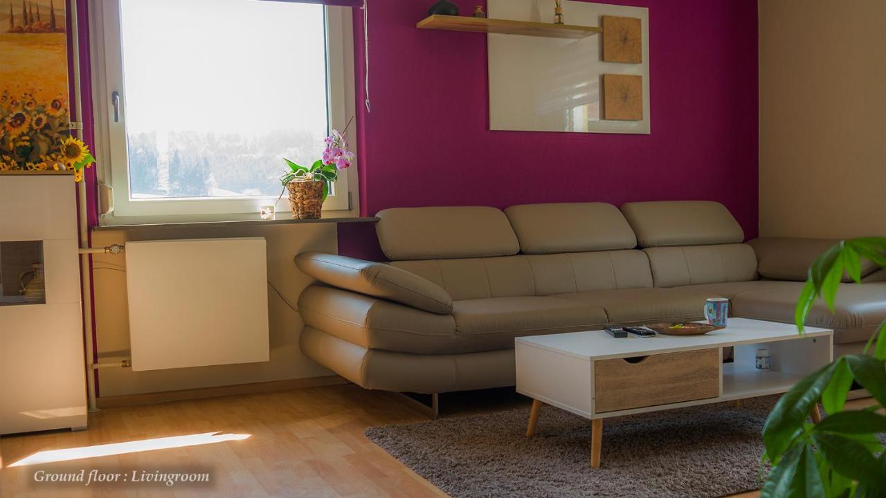 Entire House In Schwarzwald With Mountain View, Private Sauna, Gym, Garden And Terraces Unterkirnach Buitenkant foto