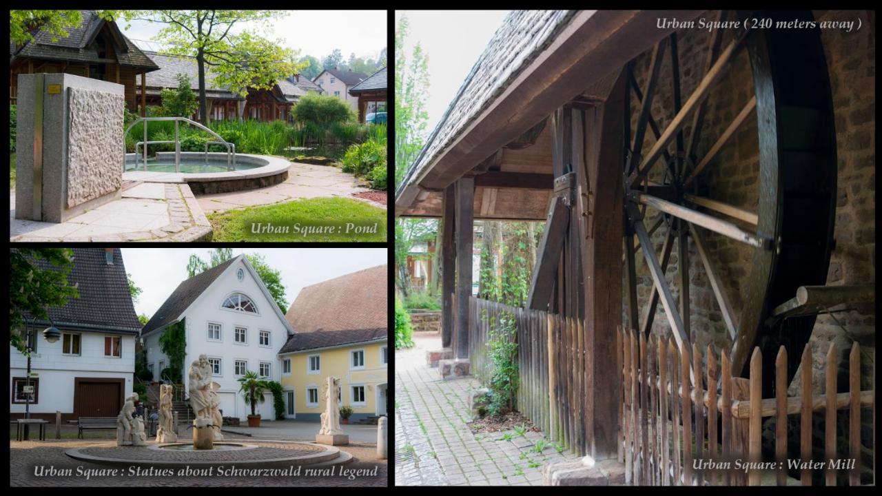 Entire House In Schwarzwald With Mountain View, Private Sauna, Gym, Garden And Terraces Unterkirnach Buitenkant foto