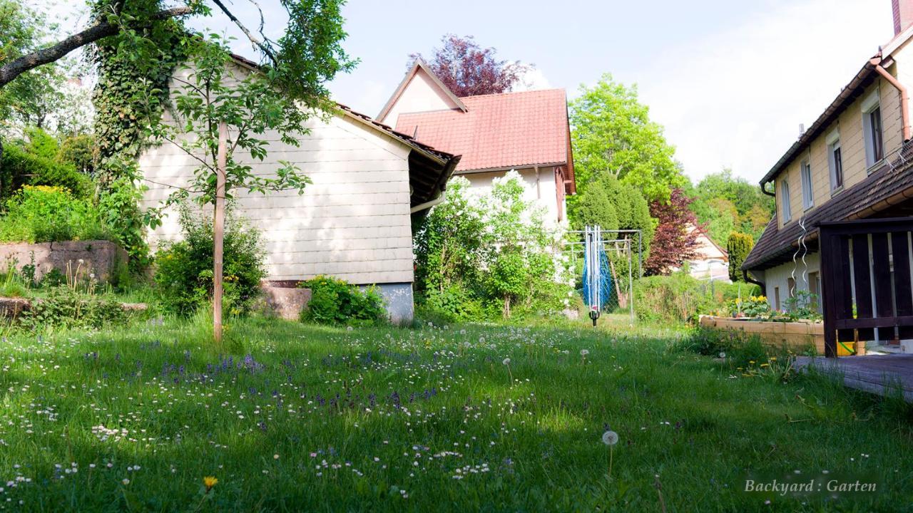Entire House In Schwarzwald With Mountain View, Private Sauna, Gym, Garden And Terraces Unterkirnach Buitenkant foto