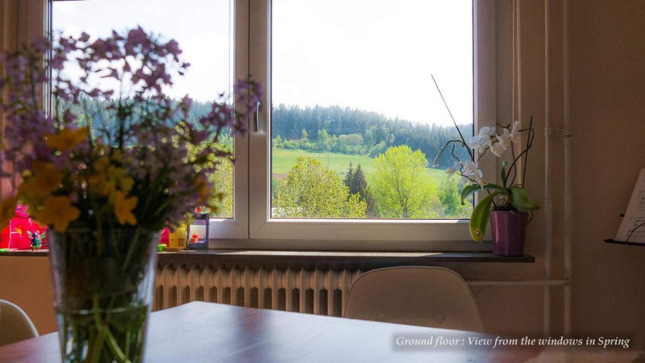 Entire House In Schwarzwald With Mountain View, Private Sauna, Gym, Garden And Terraces Unterkirnach Buitenkant foto